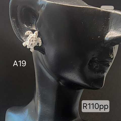 Turtle 
R110.00pp